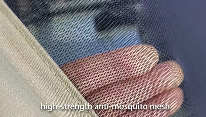 21-2024-161 21-2024-161